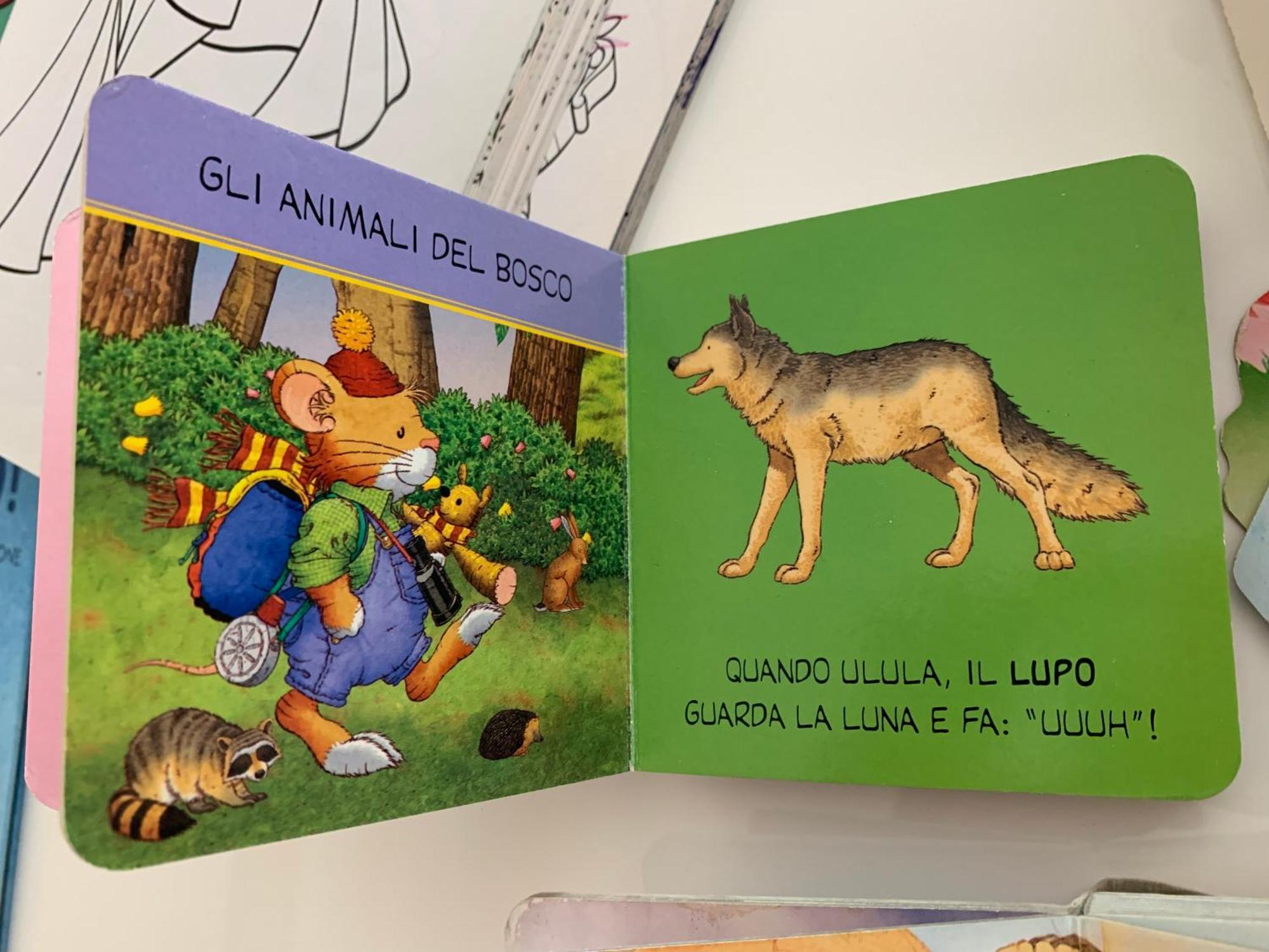 شقة Casa Beraldini فيرونا المظهر الخارجي الصورة